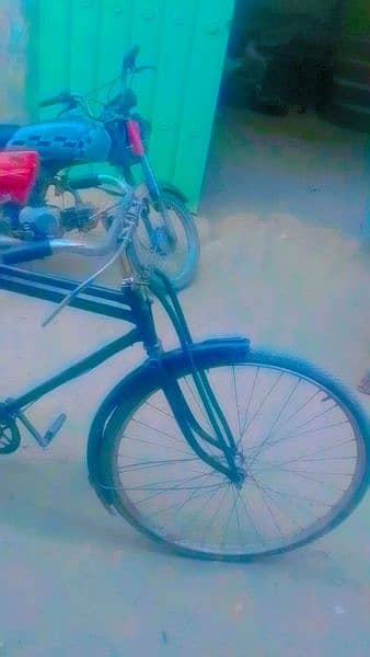 baba Bicycle 2