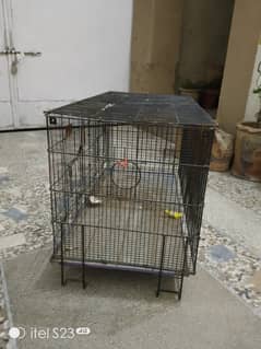 Cage for Hen and birds