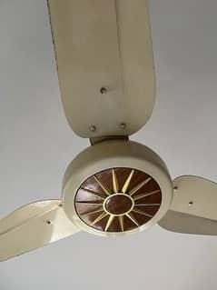 4 Sealing Fan Orient Fan (Big Motor), Pak Fan, Royal Fan and 1 Padesta