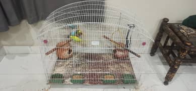 Australian Parrots 02 Pair with new large cage 0