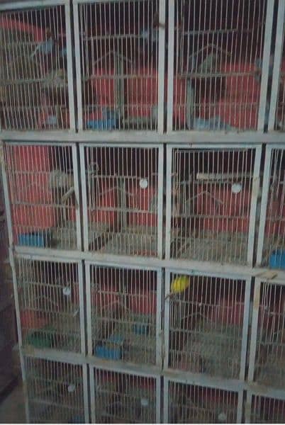 Cage for birds 2