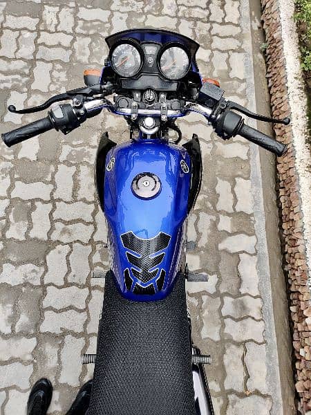 Yamaha ybr 125 2019 1