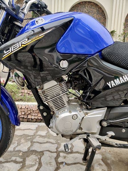 Yamaha ybr 125 2019 2