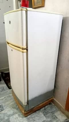 Pel Refrigerator Small Size
