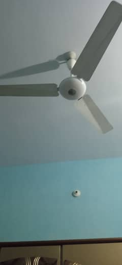 Ceiling Fan and Water dispenser