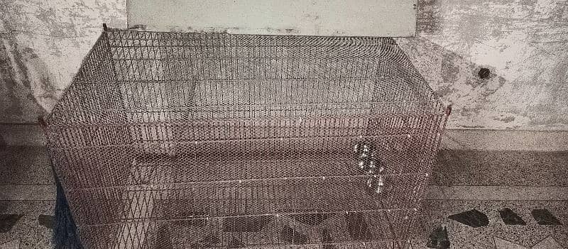 Hens cage 0