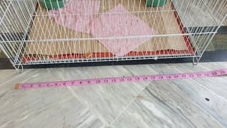 Large cage 2 months used