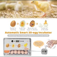 Automatic smart 20 Eggs Incubator