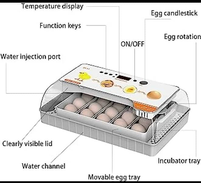 Automatic smart 20 Eggs Incubator 2