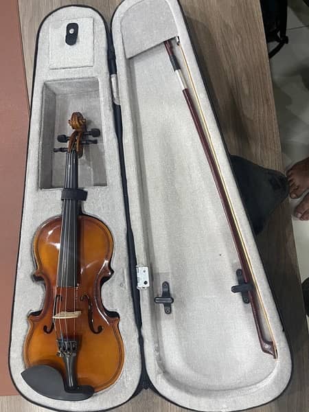 violin new 2