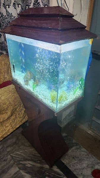 fish tank aquarium including 2 Oscars around 15 to 20cm 0