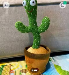 baby dancing cactus