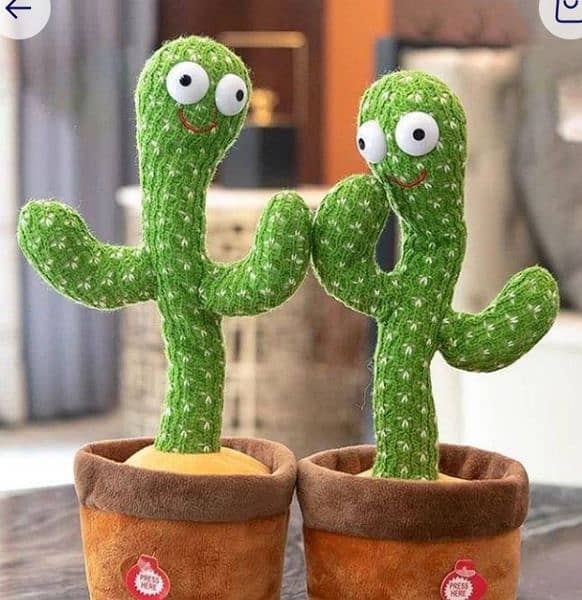 baby dancing cactus 1