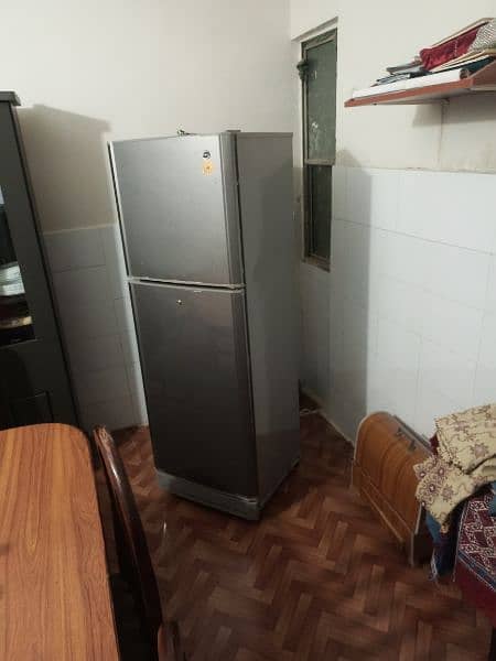 Pel Refrigerator (Fridge) 16