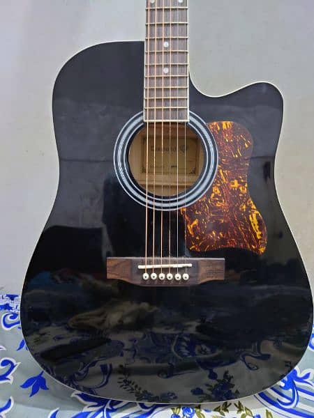 Diamond Acoustic Guitar 4