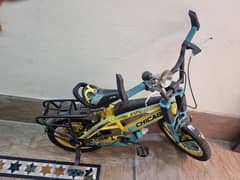 Sports Cycle for Kids Excellent Quality New Condition