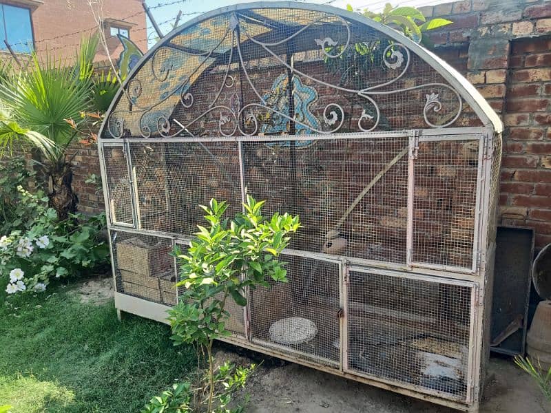 parrot cage 8 by 6 by 2 0