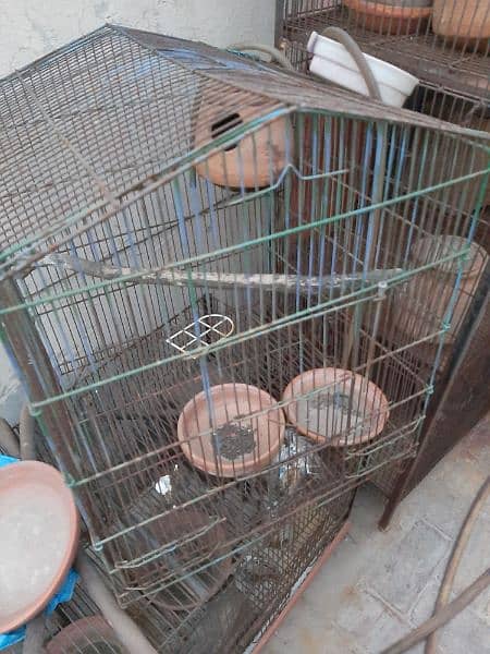 Cages For Lovebirds 2