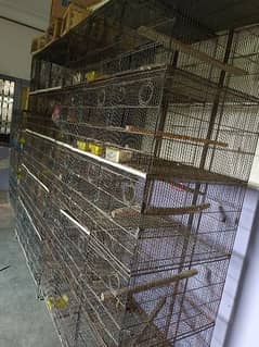 cages for birds 03245450769 whatsup