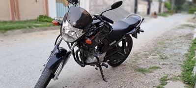 Yamaha YBR 125 Black. Mardan