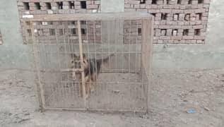 Dogs and other animals cage for dogs, birds and other animals