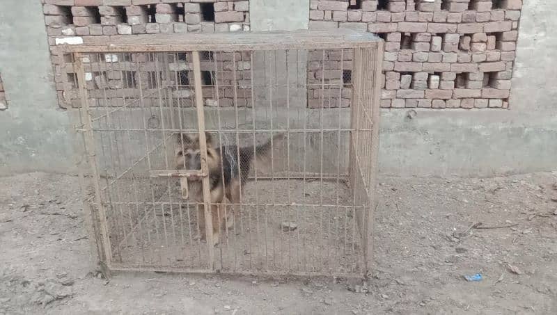 Dogs and other animals cage for dogs, birds and other animals 0