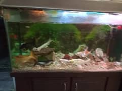 4 feet aquarium for sell