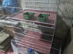 birds cage
