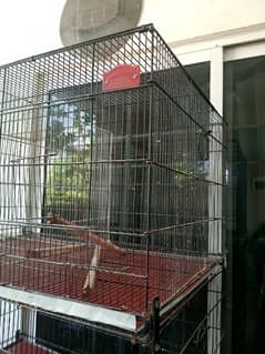 birds cage. . almost new.