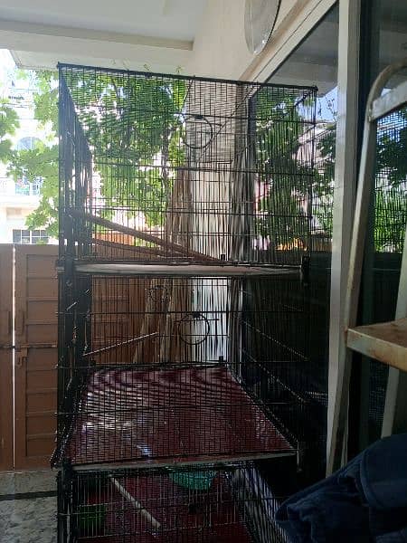 birds cage. . almost new. 2