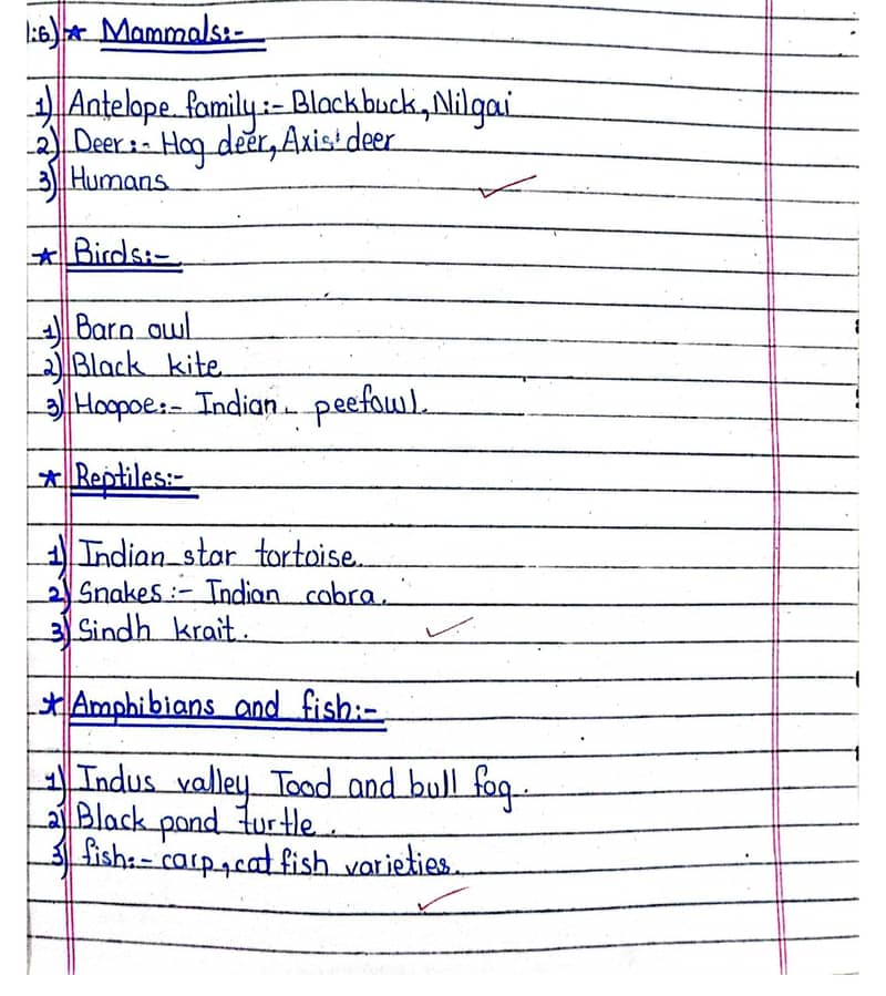 Handwritten assignment work 1