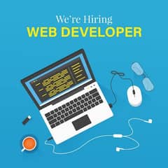 looking for a website developer
