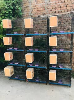 cages plus boxes for sale urgent