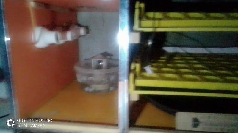 Fully Automatic Incubater and barooder For sale 7