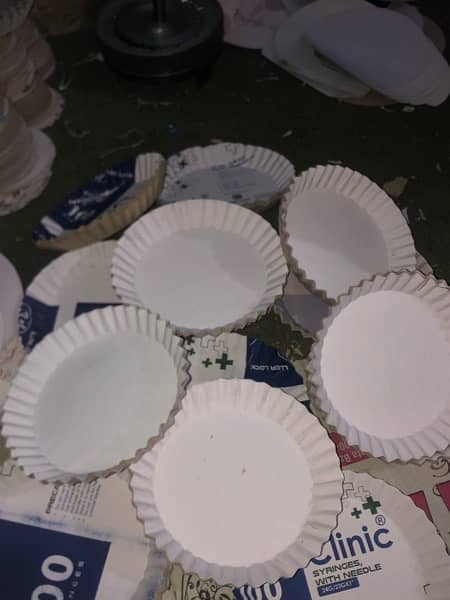 Disposable plates 1