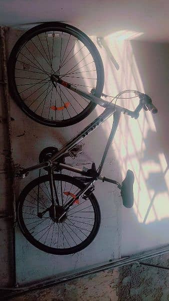 important bicycle. import the dubi original trek copny. 5