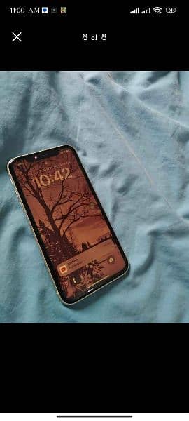 I phone 11 0