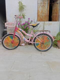 Bicycle pink colour