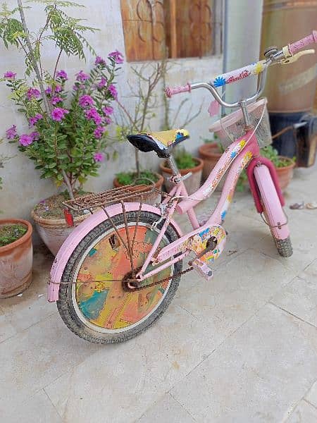 Bicycle pink colour 2