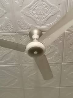 Royal ceiling fan