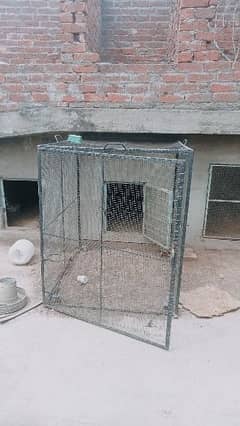 Birds cage 15000 per piece