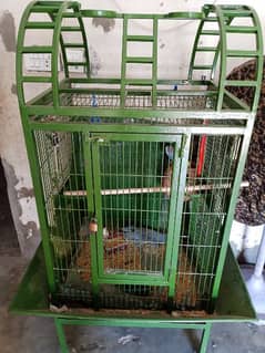 big cage