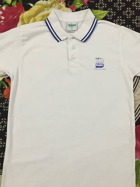 Polo shirt | Round neck T shirt Printing | Staff uniform manufacturer 17