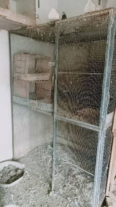 pigeons cage