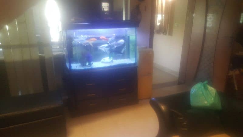 AQUARIUM FOR SALE WITH OUT FISHES with stand 0