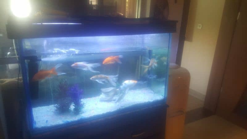 AQUARIUM FOR SALE WITH OUT FISHES with stand 1