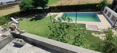 87 marla Farm house furnished with swimming pool
