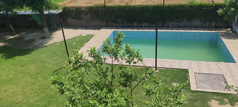 87 marla Farm house furnished with swimming pool 33