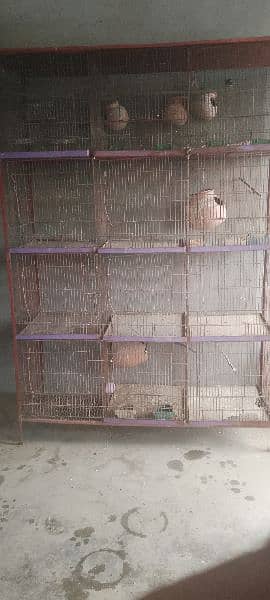 Cage 12 Portions birds 1