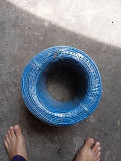 cat 6 cable role 305m